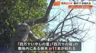 温泉施設の樹木11本にドリルで穴が開けられ枯れる　四万十市、被害額43万円超え【高知】