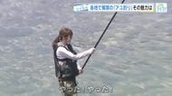 【ツイセキ】太田川でアユ釣り解禁　西田杏優（あゆ）アナがアユ釣りに挑戦「釣れた喜び？と悔しさと…涙」