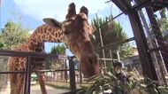 3連休の中日　動物園の人気イベントに家族連れ　笑顔で餌やり体験【岡山】