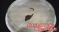 1万1400年前の縄、6000年前の土器や鉢 鳥浜貝塚発見60周年展【福井】