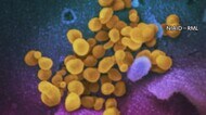 【速報】新型コロナの新規感染者43人確認【愛媛】