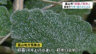 今シーズン一番の冷え込みで“初霜”と“初氷”を観測…日中は晴れて美しい立山連峰を望む