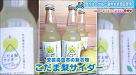 市場に出ない”宝“を開発　半日で500本完売「梨サイダー」発案は地元の高校生【広島発】