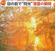 【独自】「外にいたら死んでいたかも」10m先の木に“落雷の瞬間”激写　目の前で閃光…破壊された木が衝撃物語る　群馬・嬬恋村