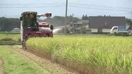 岩手県内コメ収穫量　5年ぶり25万ｔ　農林水産省が発表