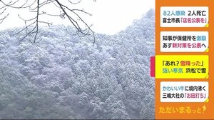 強い寒気 浜松で「雪」 山肌にうっすらと雪化粧 浜松市天竜区