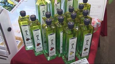 老舗酒造が「クラフトジン」開発…コロナ、