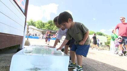 北海道の夏休みが本格始動！巨大恐竜展に地下7メートルの下水道探検、旭山動物園では動物へ氷のプレゼントも―夏休み中の子供の安全を守るために家庭で話し合うべきルールとは？