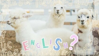 【コレ英語で言えますか？】「モフモフ」