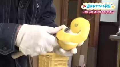 今が旬の高知名物「小夏」そのまま食べてない？生産者がむき方・変わった食べ方を紹介