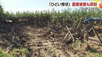 「今年はダメだと思う」農家から諦めの声も…大雨による農業被害が深刻　JAが現地を調査【山形発】