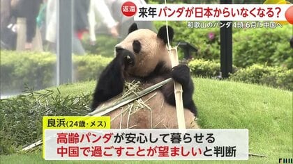 分析】「日本からパンダいなくなる？」和歌山の全4頭6月中国に返還決定 