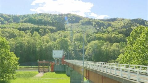北海道・東京でクマ被害　ロシア国籍の男性が重傷