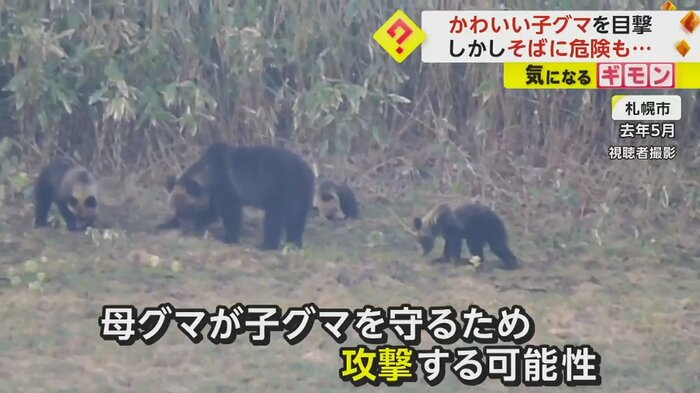 2022年5月、札幌市で撮影されたクマの親子
