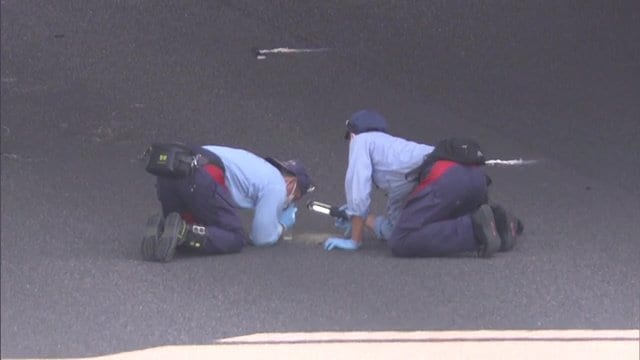 転落後に複数の車両にはねられたとみて捜査を進める
