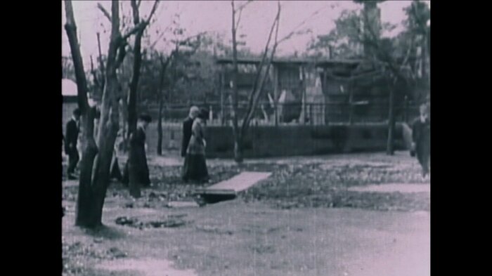 帰京後すぐに 上野公園を視察
