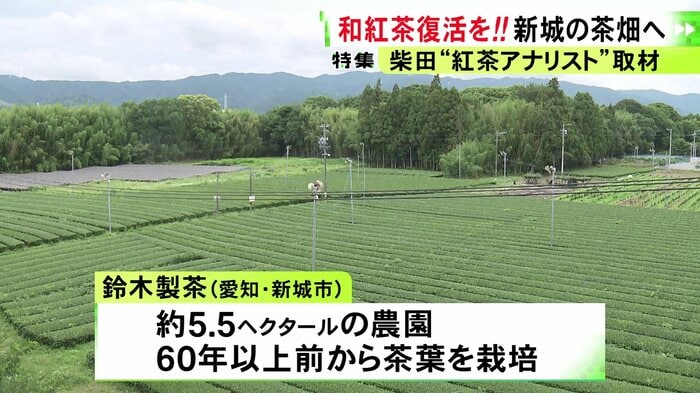 ニュースONE