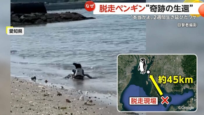 無事発見された「ペン」