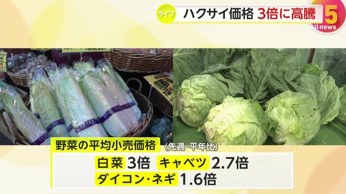 価格高騰が続くハクサイやキャベツ