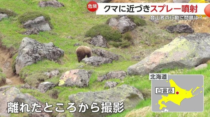クマが現れた白雲岳の頂上付近