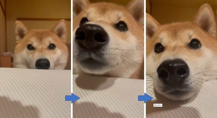 「大丈夫?」と寝込んだ時に様子を見に来てくれたという栗太郎くん