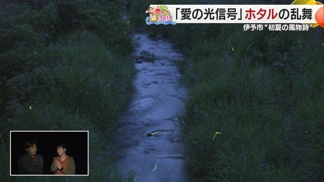 今年最高!