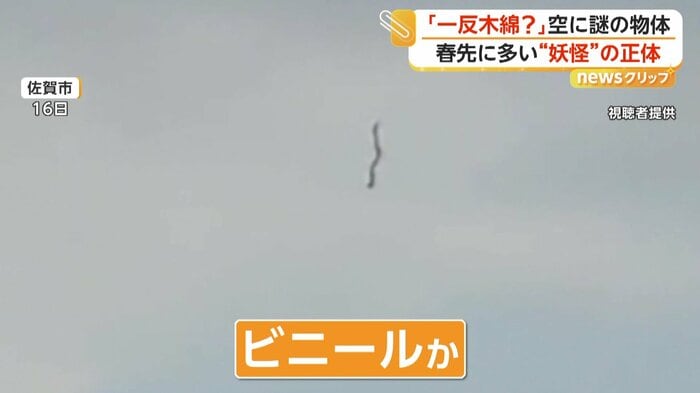 （16日、佐賀市）