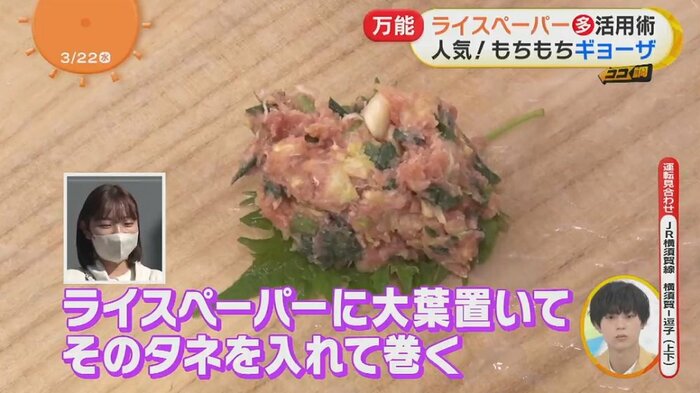 大葉とギョーザのタネをライスペーパーで巻いて焼くと…