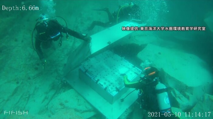 海底で1つずつケースへ