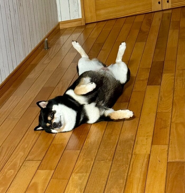 どんな所でも大胆