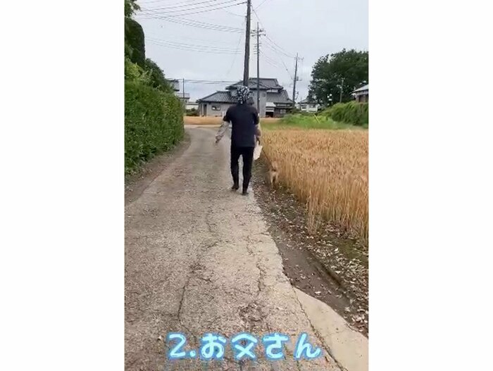 お父さんとの散歩(提供:タチバナさんの毎日ルーティン)