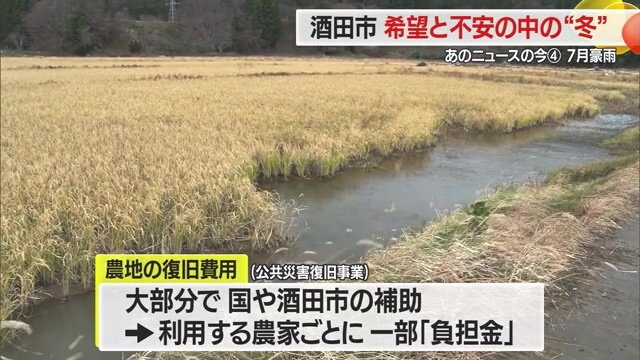 刈り取れなかった稲が残る相蘇さんの農地