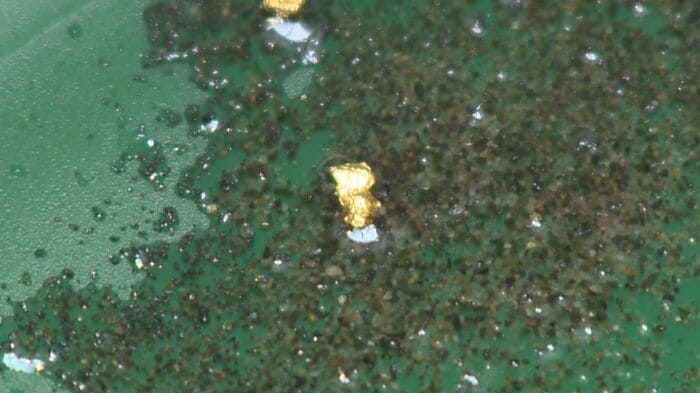砂金