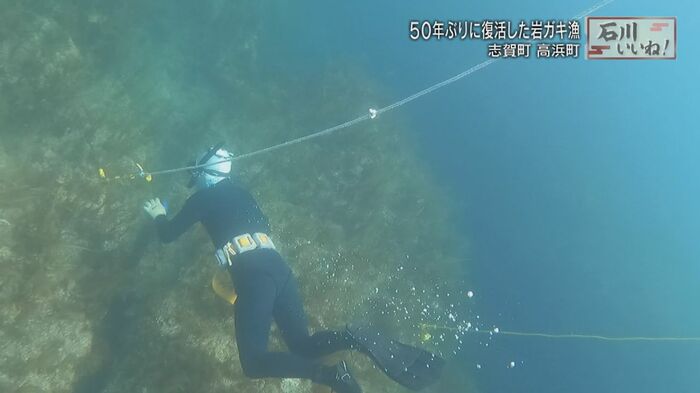 素潜りのため、時間との勝負