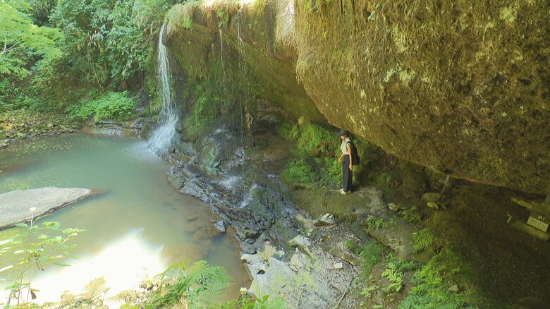 洞窟に隠された自然の鼓動「鼓ヶ滝」、富山の秘境で味わう特別な音響体験とは？｜FNNプライムオンライン