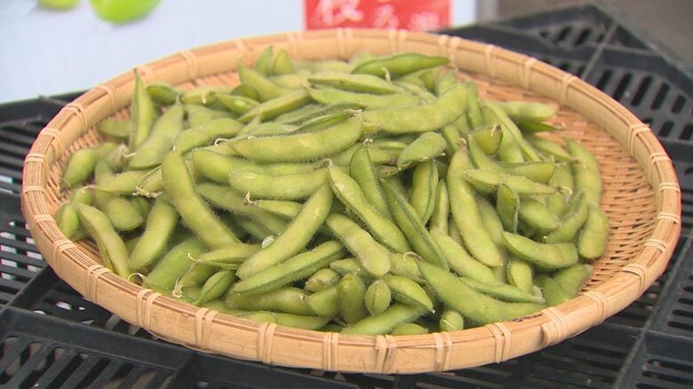 ブランド枝豆『しろねえだま～めいど』出荷開始！天候に恵まれ出来は上々「枝豆片手に暑い夏乗り切って」新潟・南区｜FNNプライムオンライン