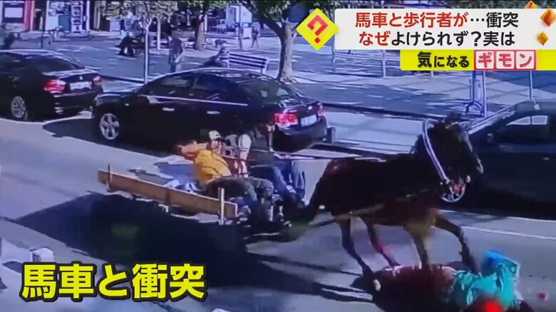 【馬車が逆走して悲劇】「猛スピードで制御できなくなって」一方通行”違反”で女性に激突…弾き飛ばされ病院搬送　トルコ｜FNNプライムオンライン