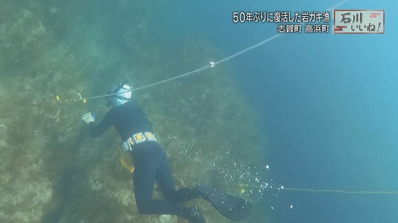 素潜りのため、時間との勝負