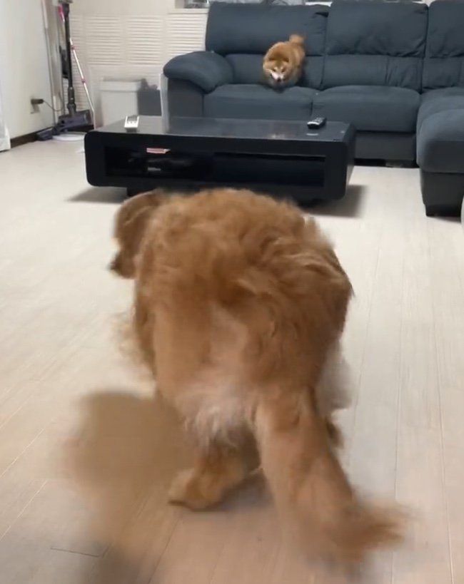 提供：うにandおからさん