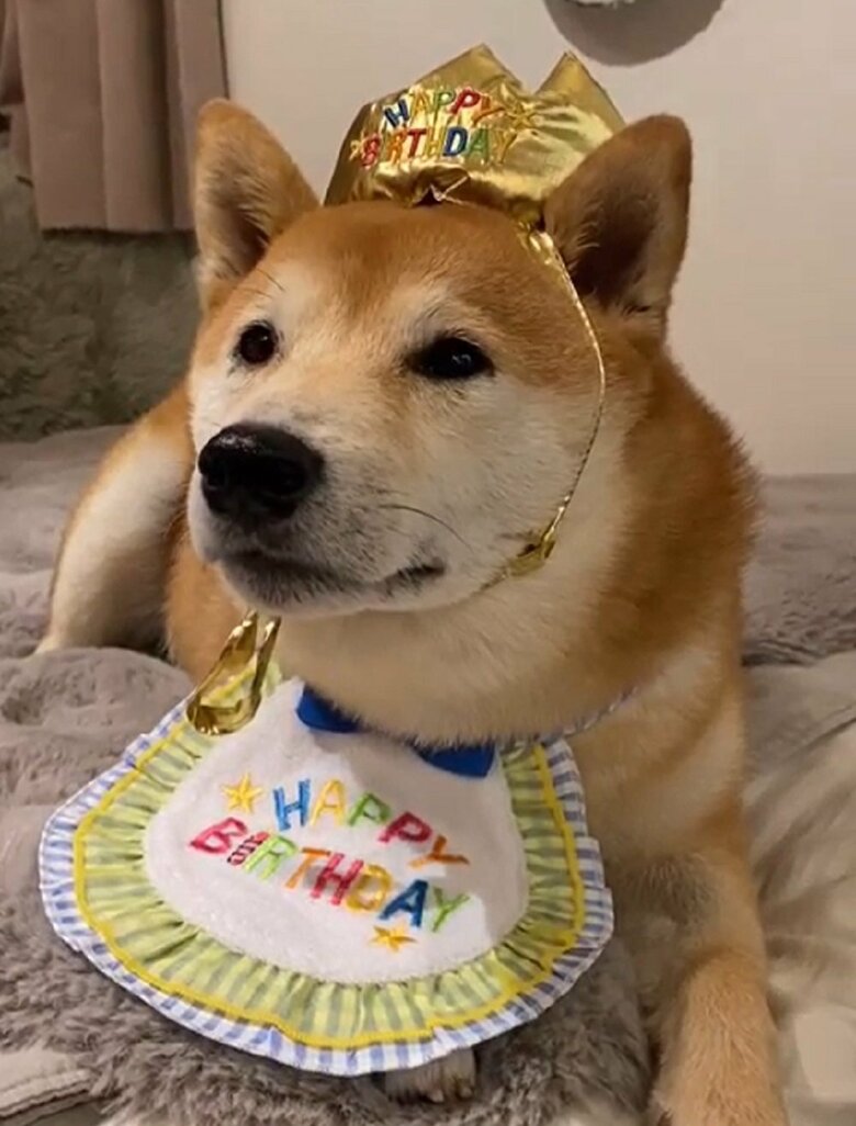 5月で3歳になりました！