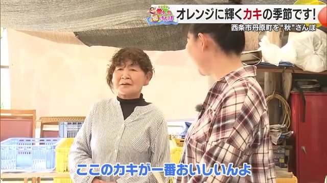 「ここの柿が一番美味しいんよ」