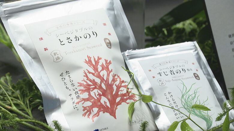 スタートアップ企業が生産している青のり