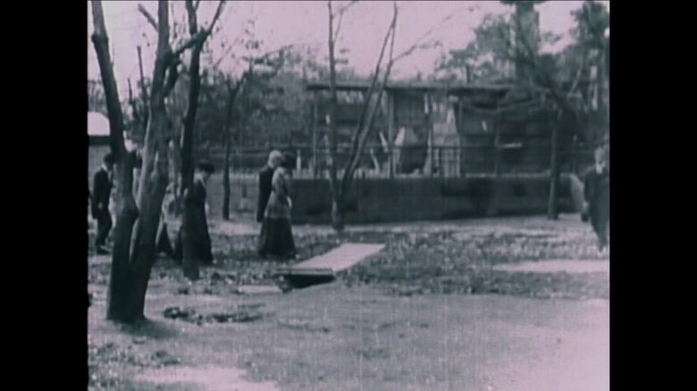帰京後すぐに 上野公園を視察