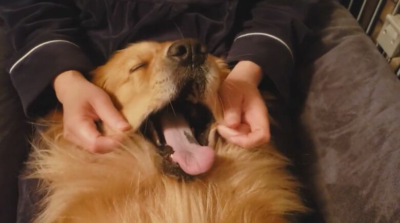 リラックス