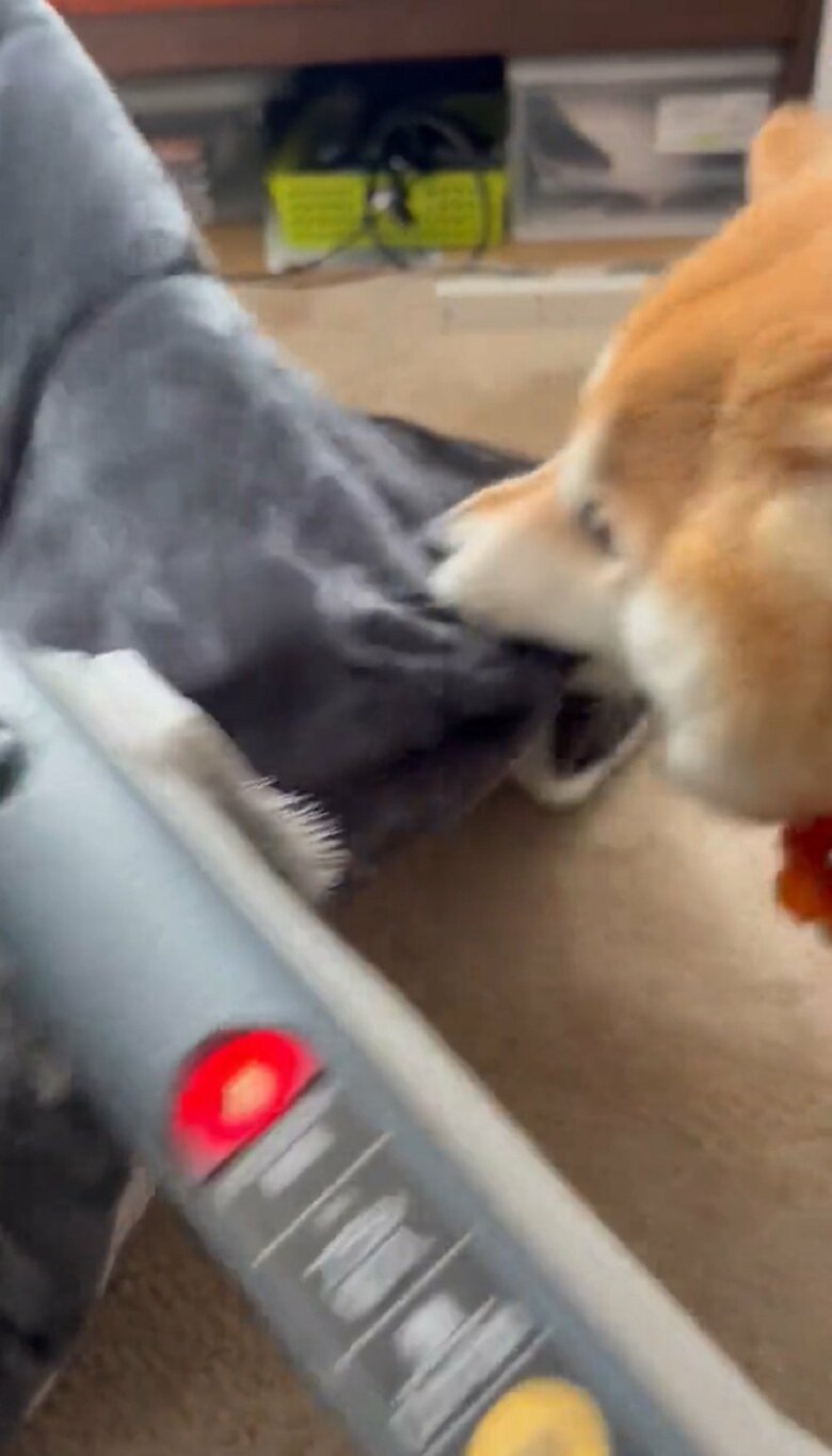 グイっと引っ張り