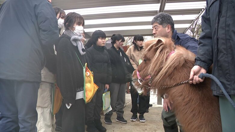 動物園と連携した「命の大切さを学ぶ教室」