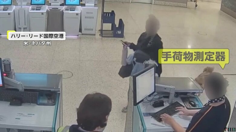 尻尾を振って興奮している様子の犬