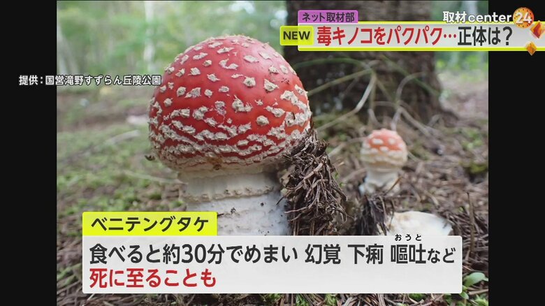 人間が食べると、まれに死に至ることもあるという