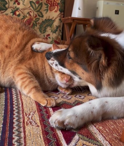 提供：naomiさん