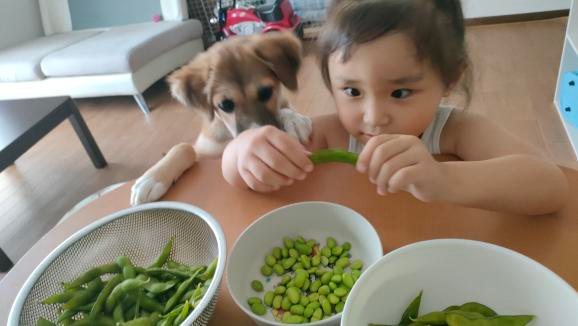 左：こつぶちゃん　右：ふみかちゃん（提供：kurumi-chiharuさん）